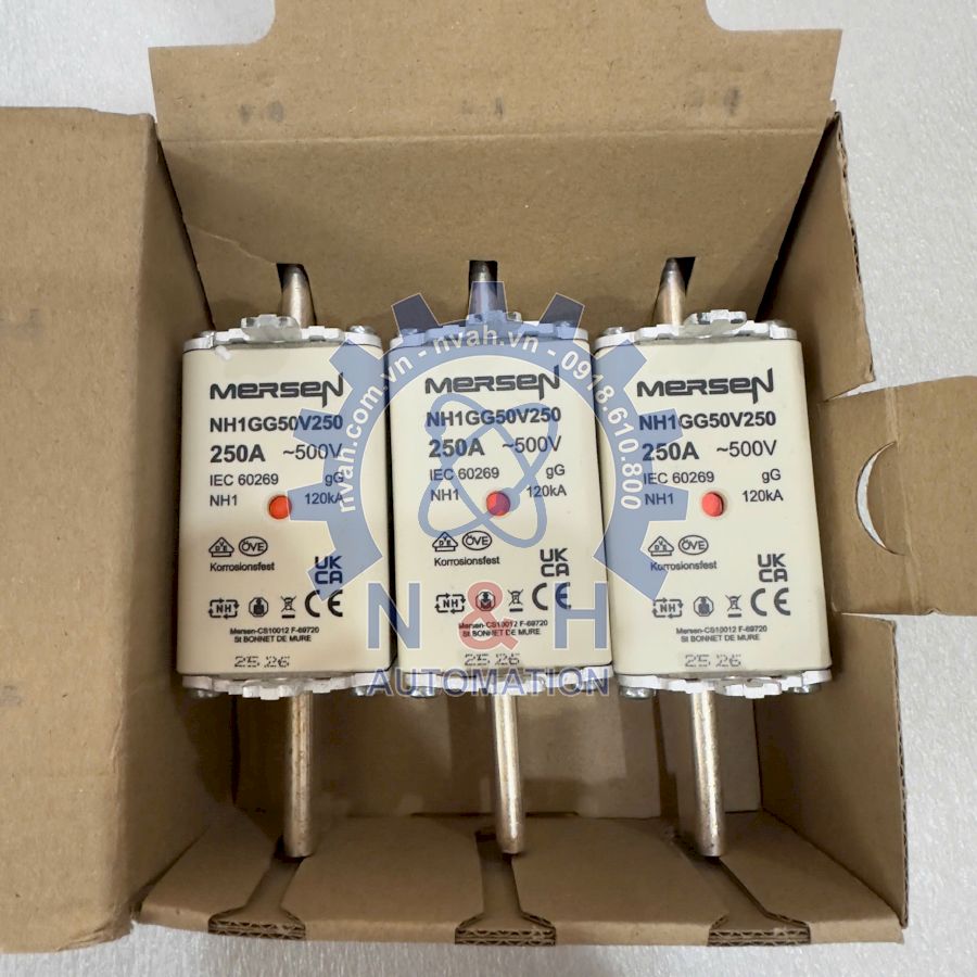 Cầu Chì NH1GG50V250